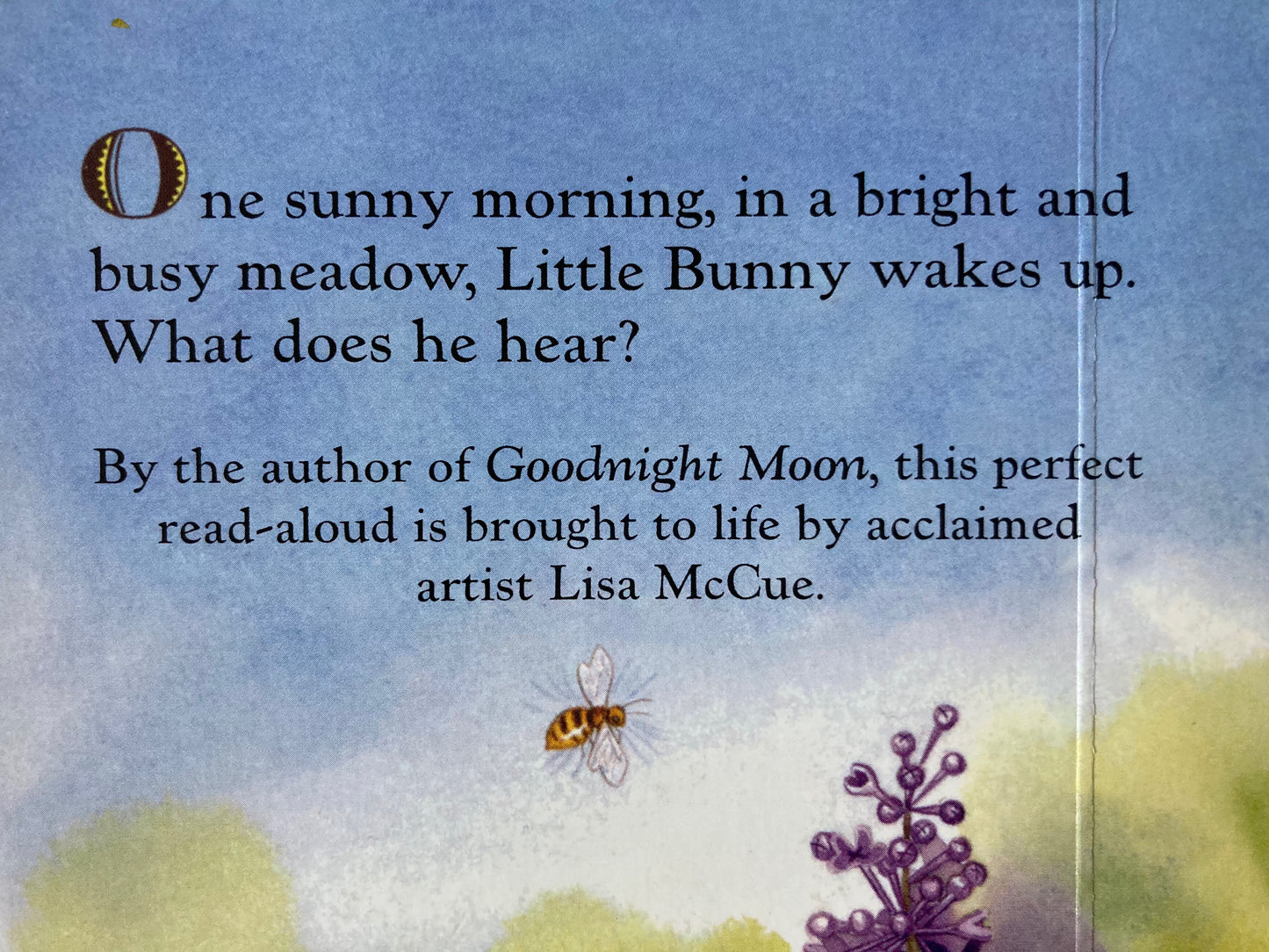 Livre cartonné, bébé - BUNNY'S NOISY BOOK