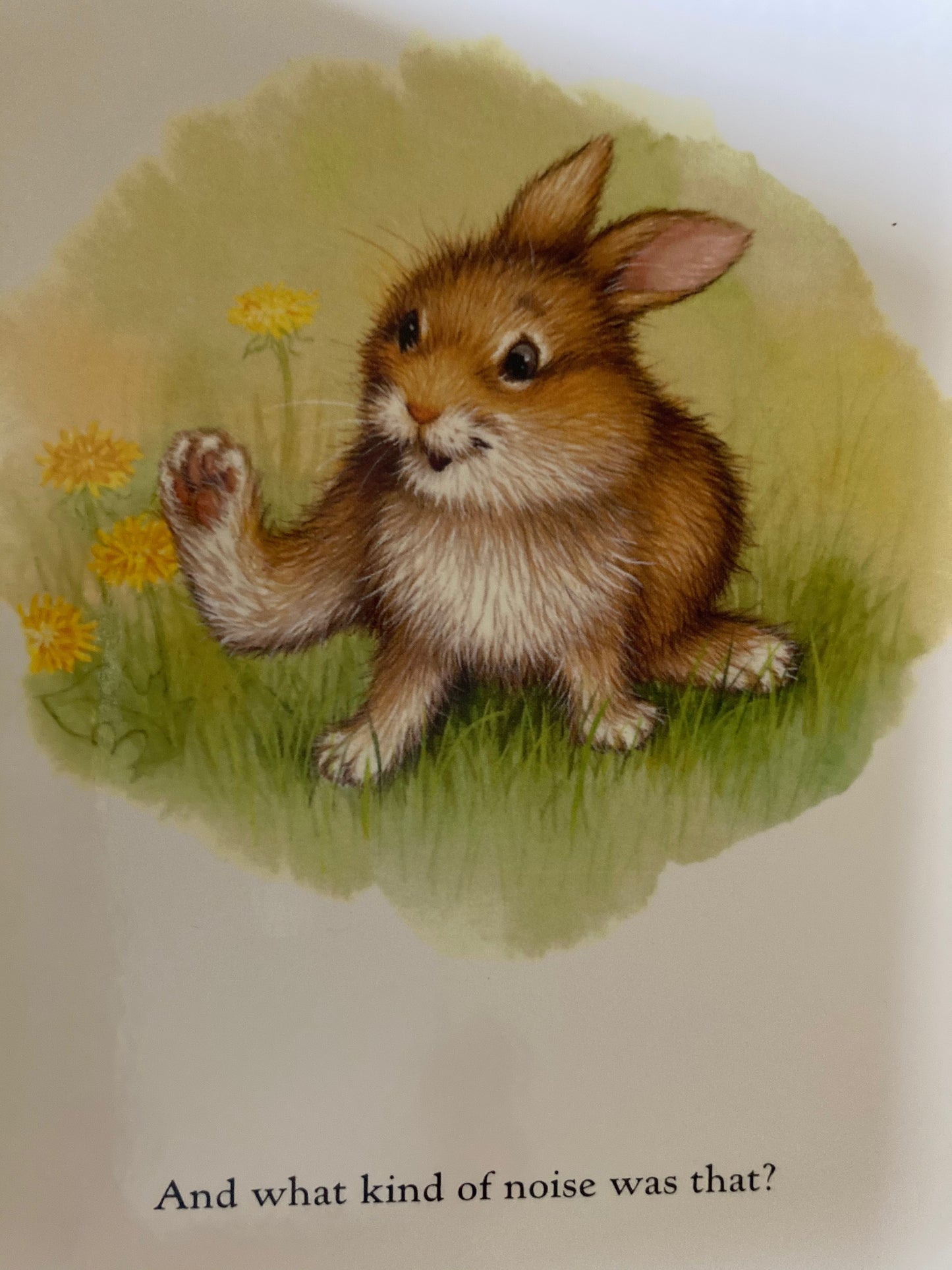 Livre cartonné, bébé - BUNNY'S NOISY BOOK