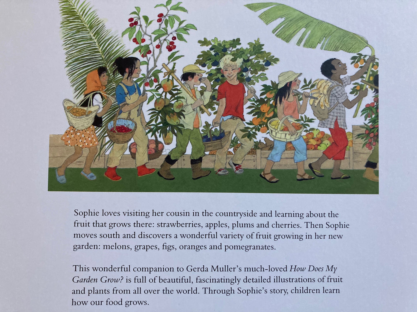 Livre d'images éducatif pour enfants - COMMENT POUSSE MON JARDIN ? ou, COMMENT POUSSE MES FRUITS ?