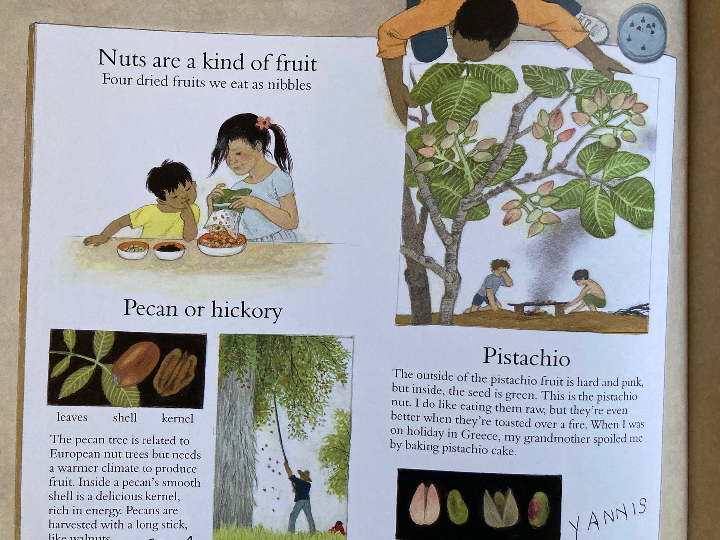 Livre d'images éducatif pour enfants - COMMENT POUSSE MON JARDIN ? ou, COMMENT POUSSE MES FRUITS ?