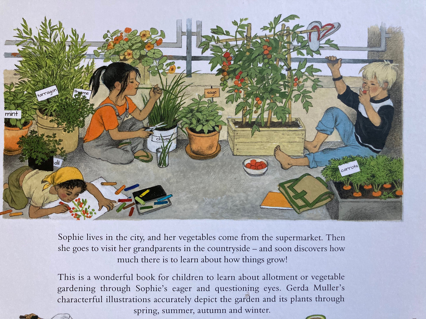 Livre d'images éducatif pour enfants - COMMENT POUSSE MON JARDIN ? ou, COMMENT POUSSE MES FRUITS ?