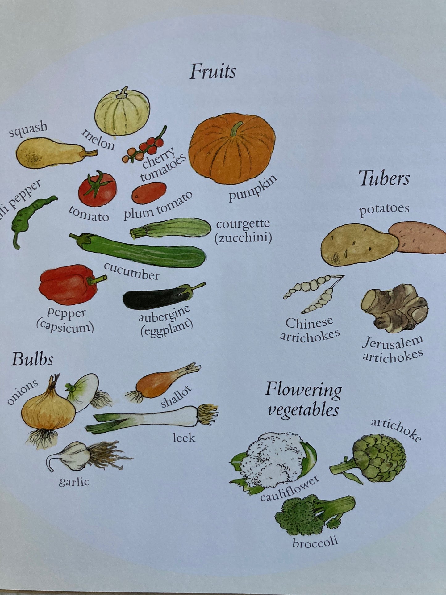 Livre d'images éducatif pour enfants - COMMENT POUSSE MON JARDIN ? ou, COMMENT POUSSE MES FRUITS ?