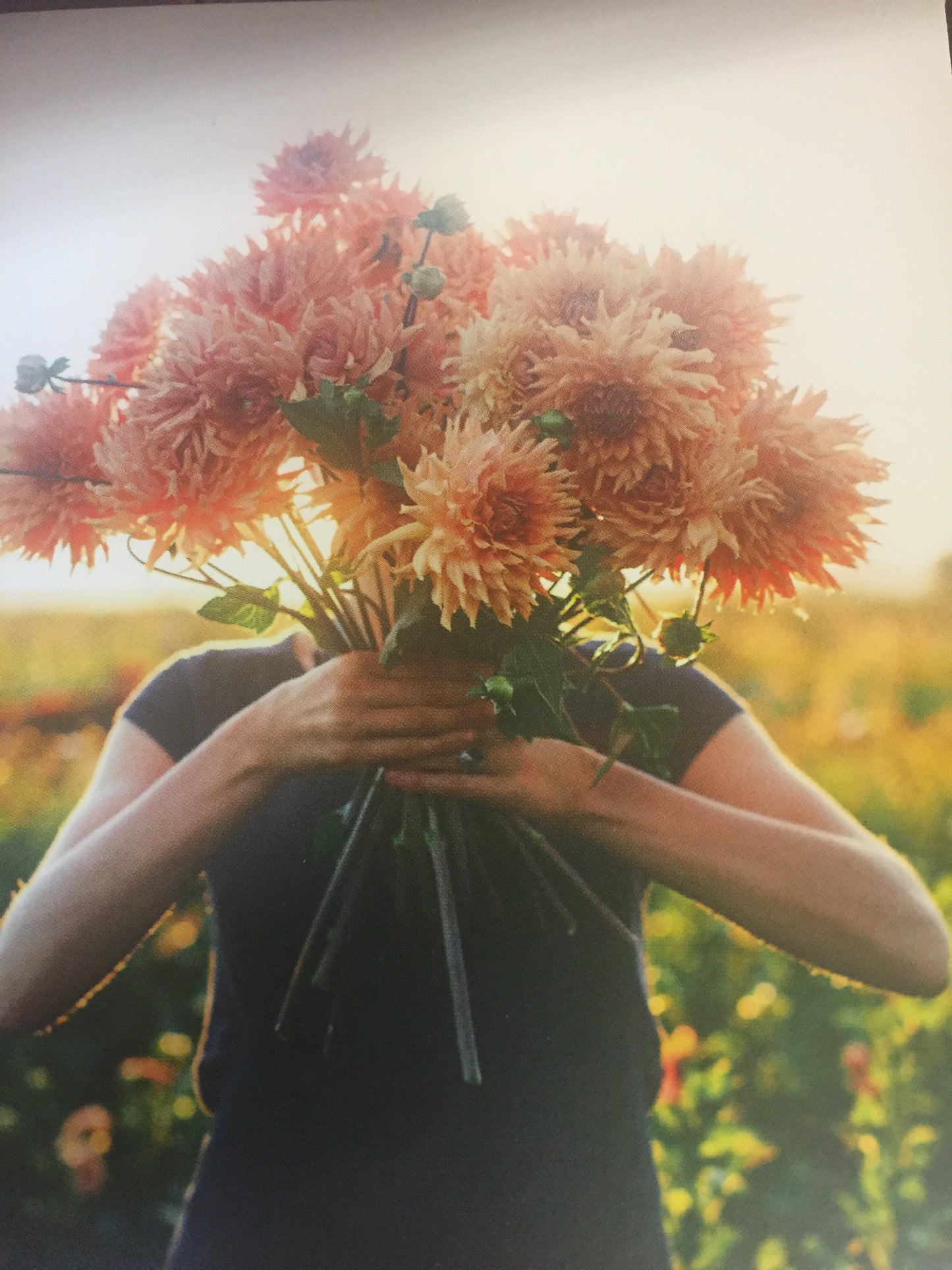 CARTE CADEAU pour GNOMES ET GLANDS : MERCI, CARTES CADEAUX FLORALES