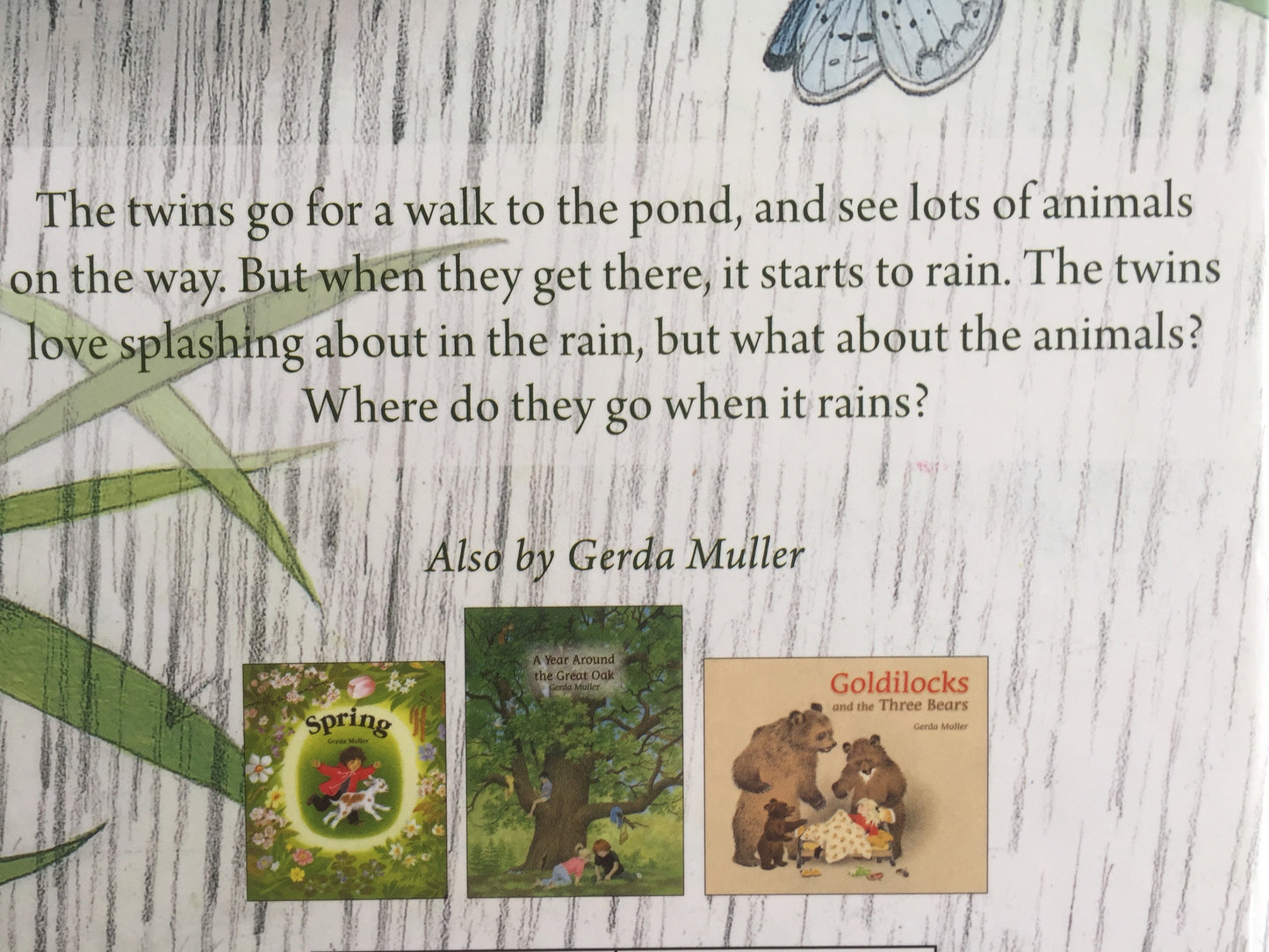 Children's Picture Book - WHERE DO THEY GO WHEN IT RAINS?