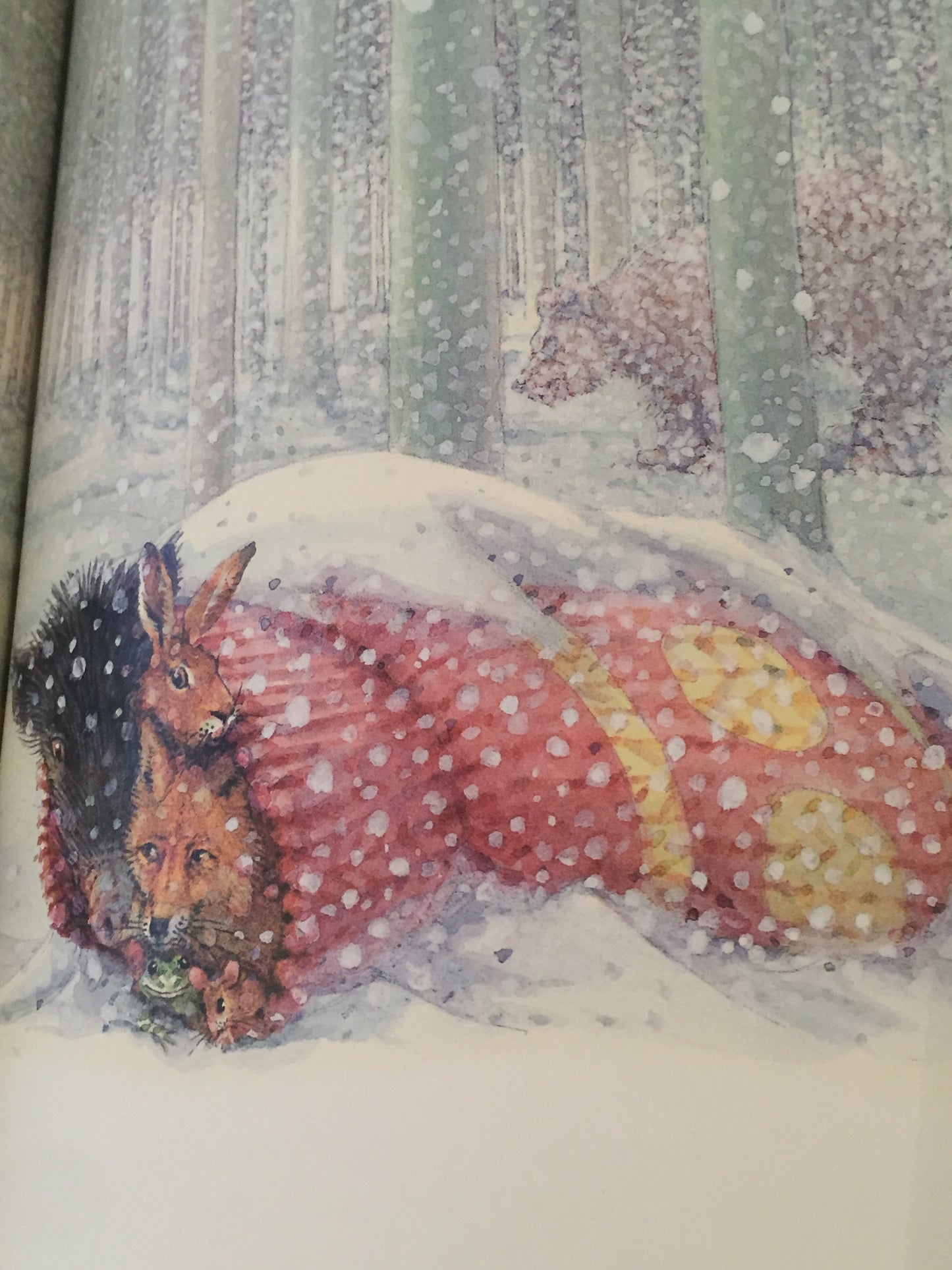 Livre d'images pour enfants - UNE CHAMBRE POUR MOI ?