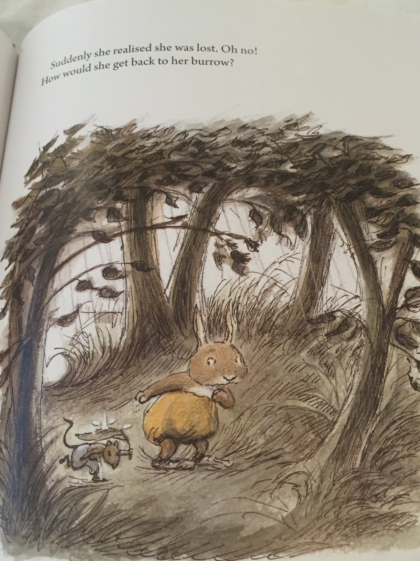 Children's Picture Book - LITTLE SISTER RABBIT BOOKS