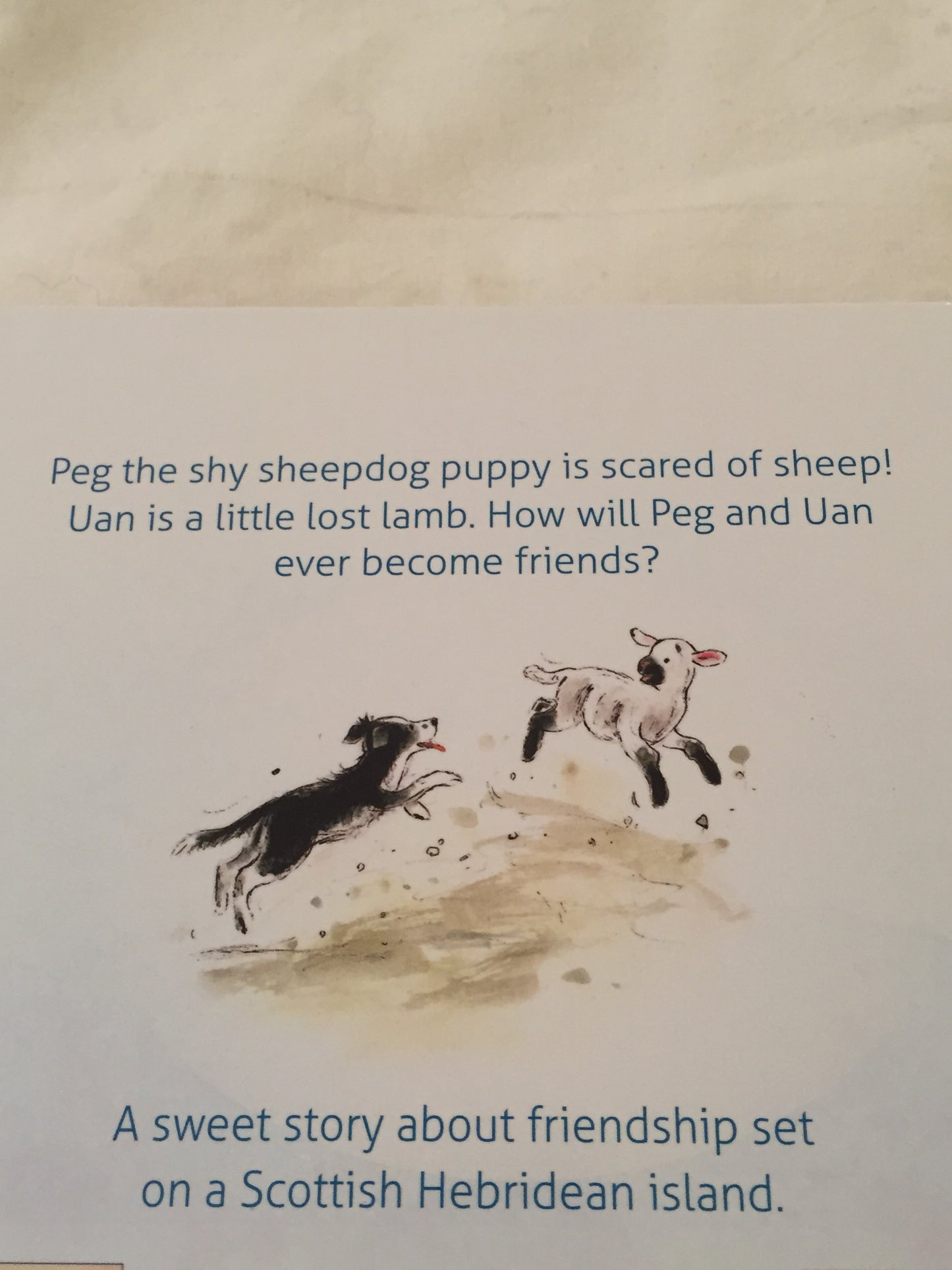 Board Book, Baby - PEG and UAN, MAKING FRIENDS