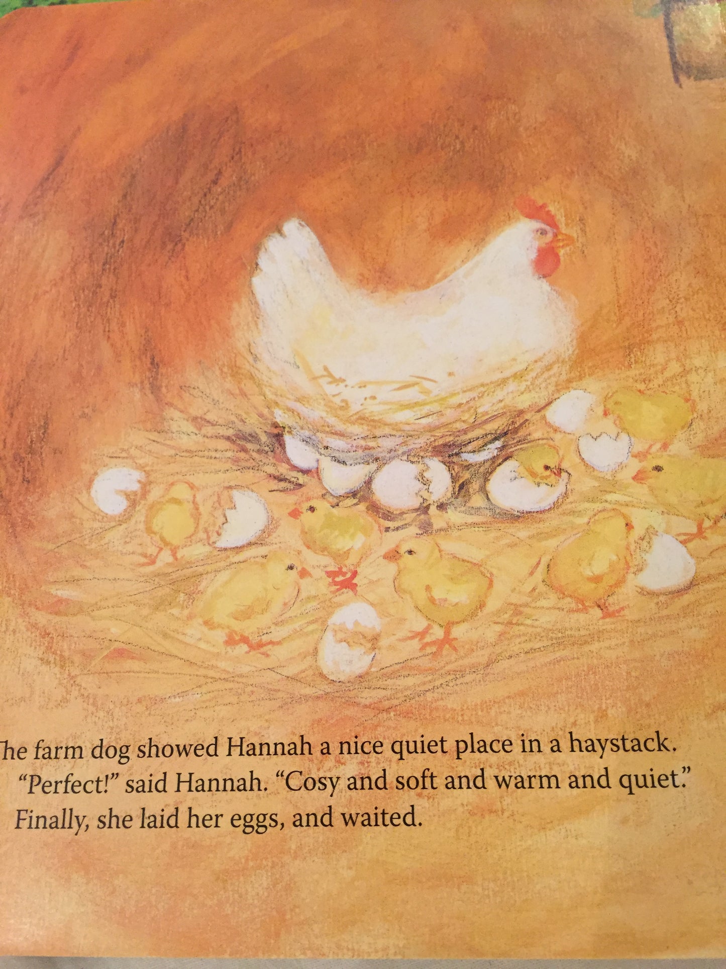 Board Book, Baby - HANNAH ON THE FARM