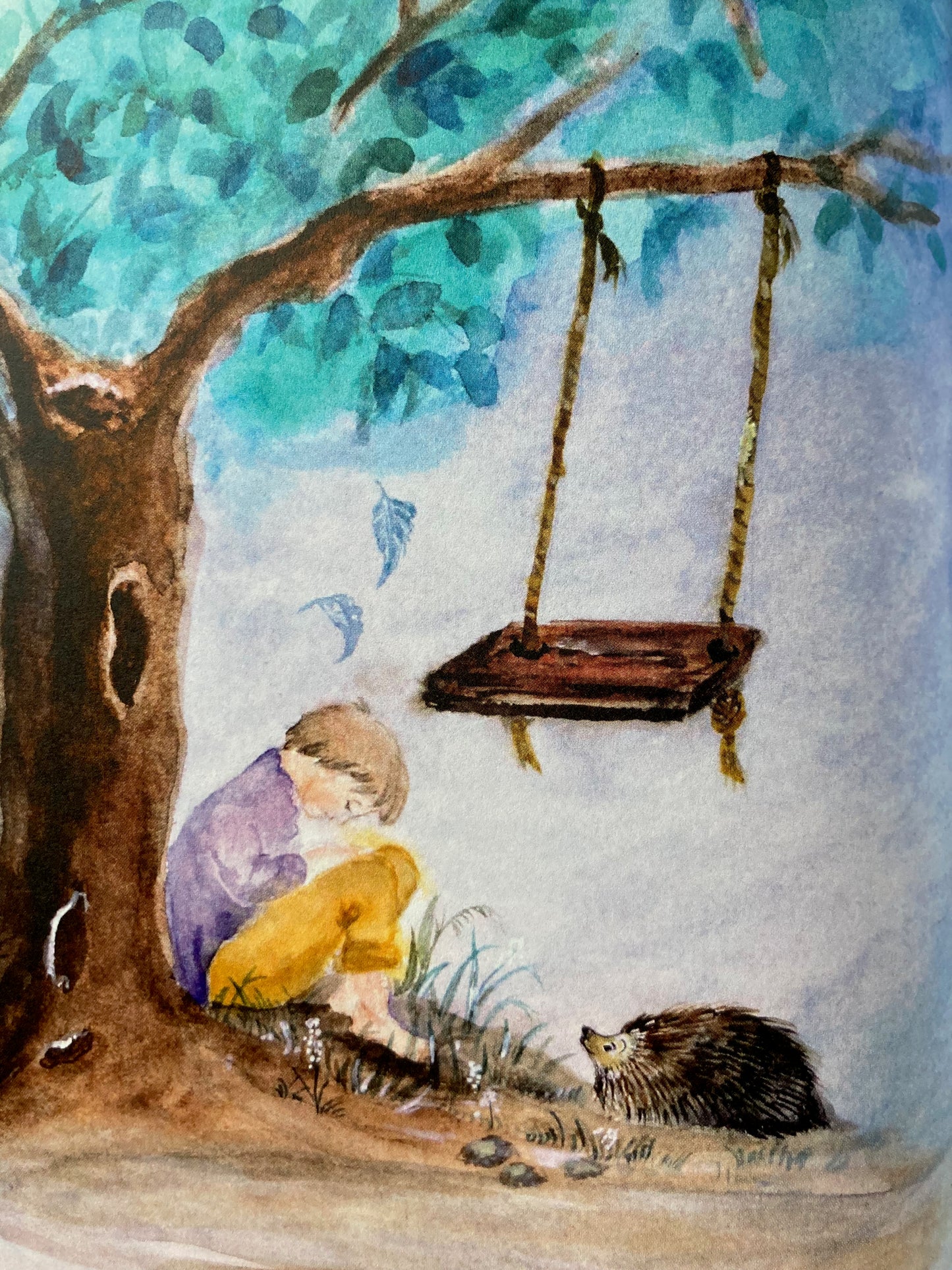 GIFT CARD for GNOMES & ACORNS: ALL OCCASION GIFT CARDS