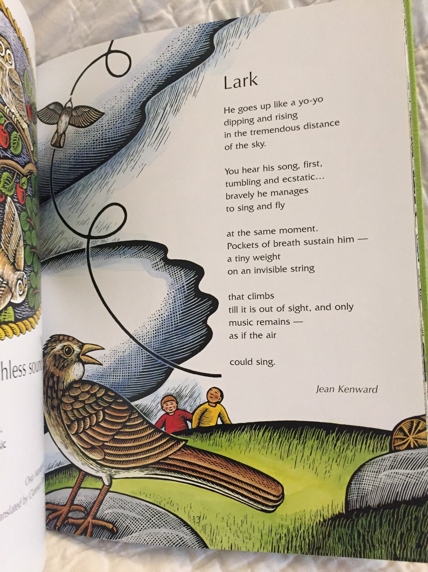 Educational Picture Book - EARTH POEMS