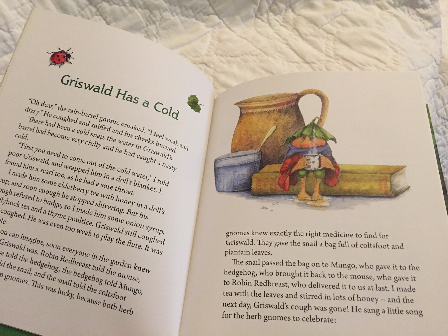 Early Reader Picture Chapter Book - The GARDEN ADVENTURES of GRISWALD THE GNOME