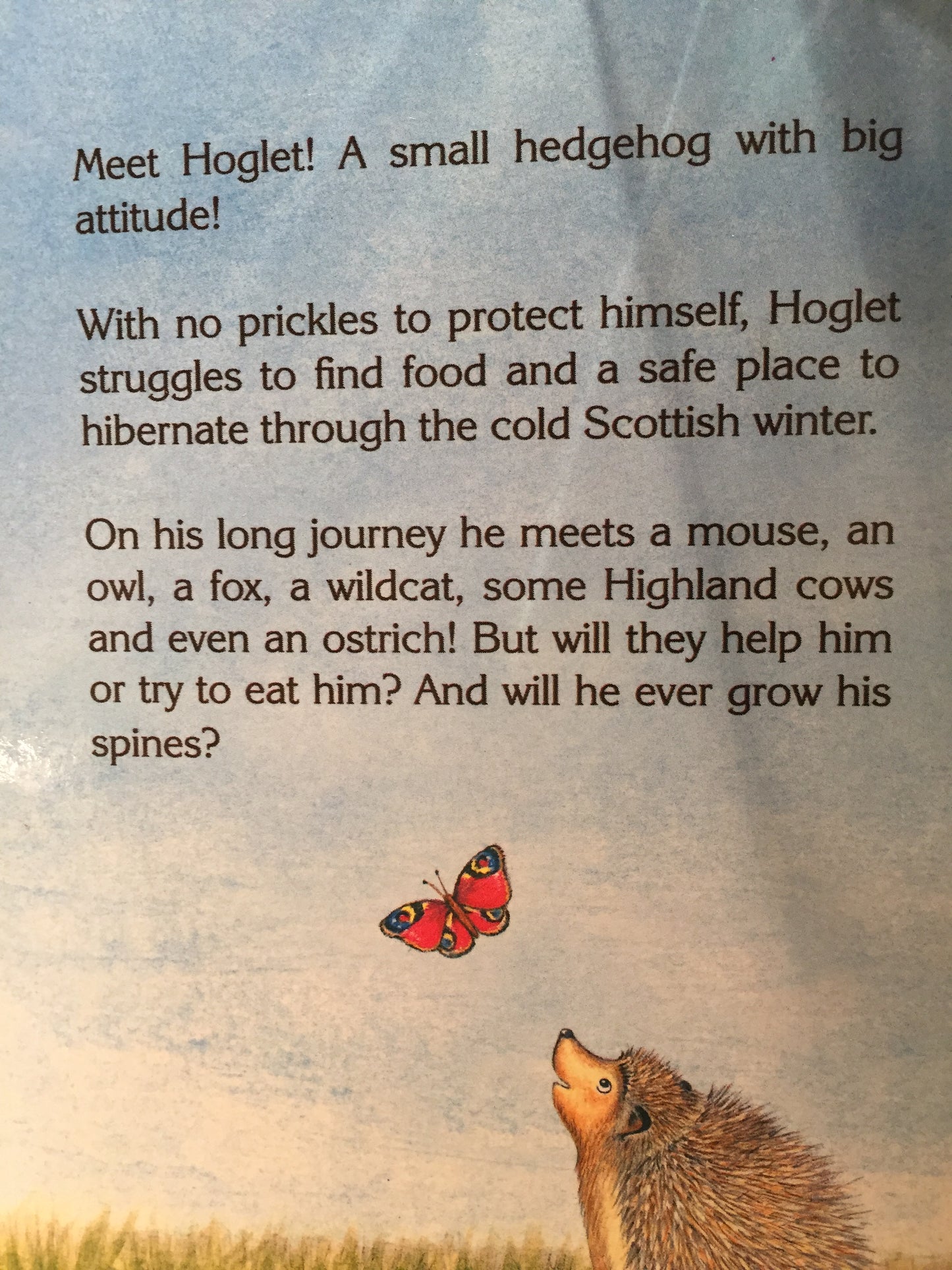 Livre de chapitre pour jeunes lecteurs - HOGLET le HÉRISSON SANS épine