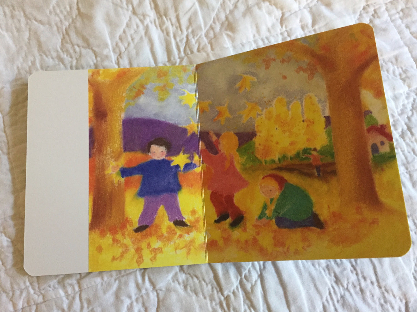 Board Book, Baby- THROUGH THE SEASONS