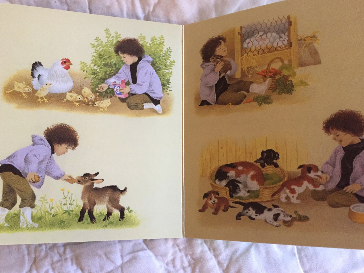 Livre cartonné, Bébé - Livres GERDA MULLER SAISON