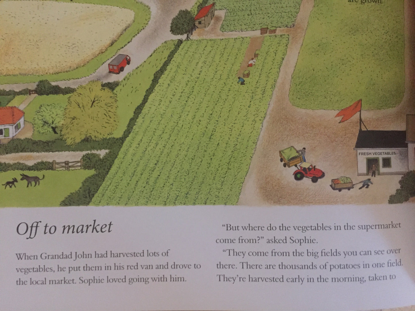 Livre d'images éducatif pour enfants - COMMENT POUSSE MON JARDIN ? ou, COMMENT POUSSE MES FRUITS ?