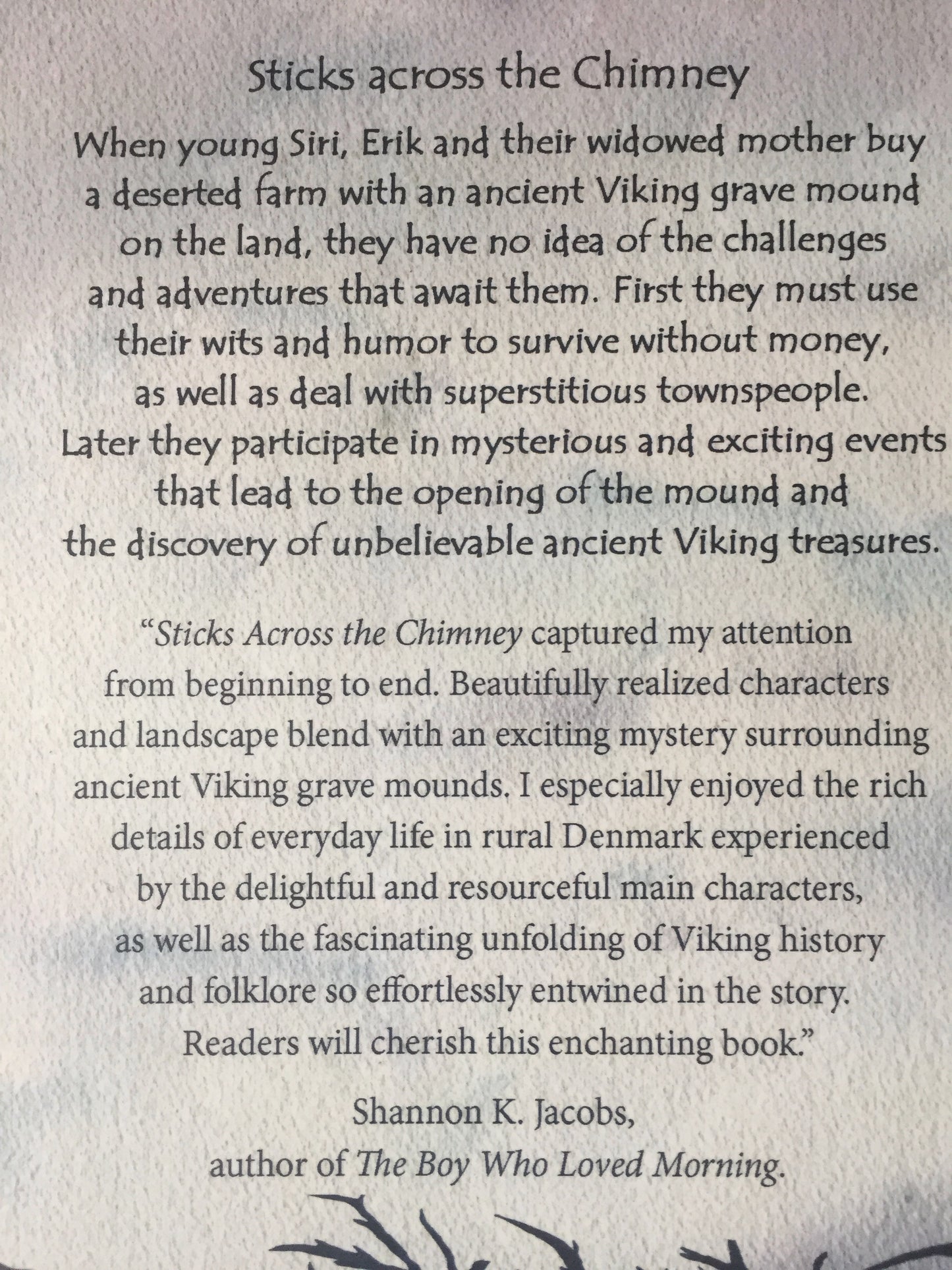 Chapter Books for Older Readers - STICKS ACROSS THE CHIMNEY