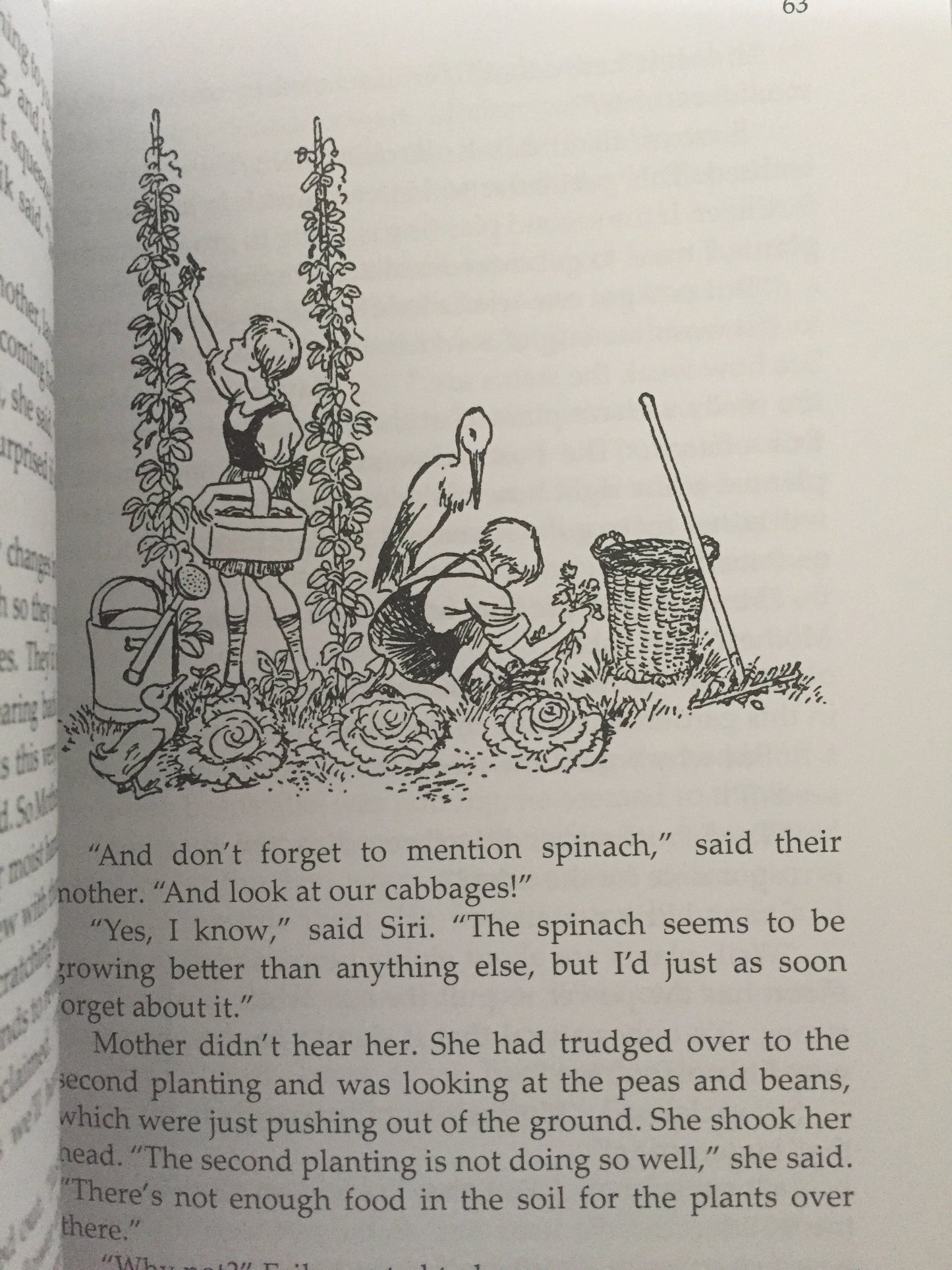 Chapter Books for Older Readers - STICKS ACROSS THE CHIMNEY