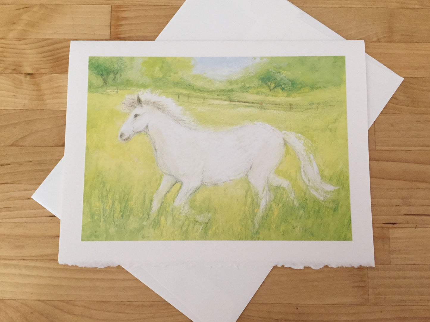 Cartes de voeux/ Été - CHEVAL AU PÂTURAGE
