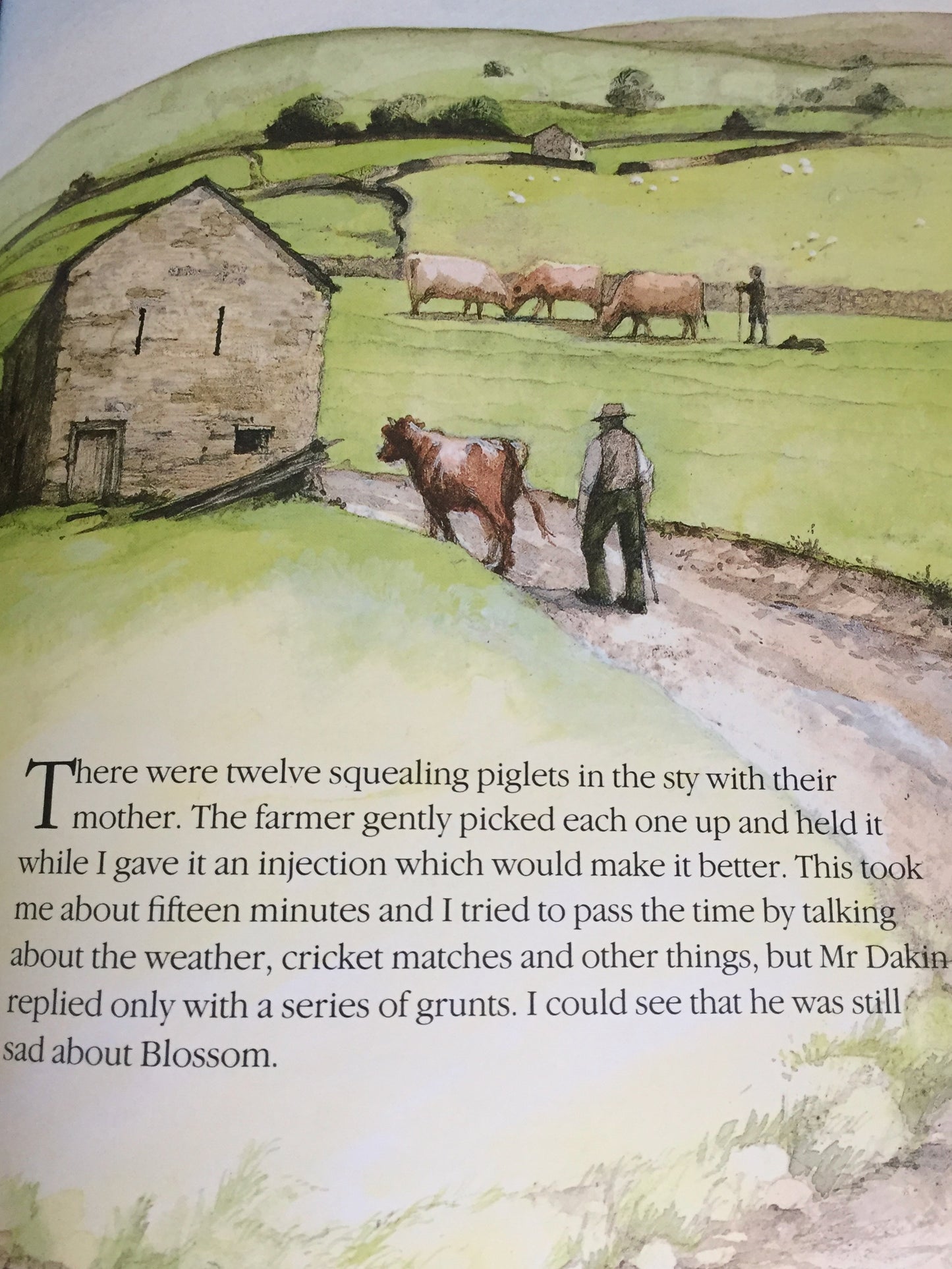Children's Chapter Picture Book - JAMES HERRIOT'S TREASURY for CHILDREN