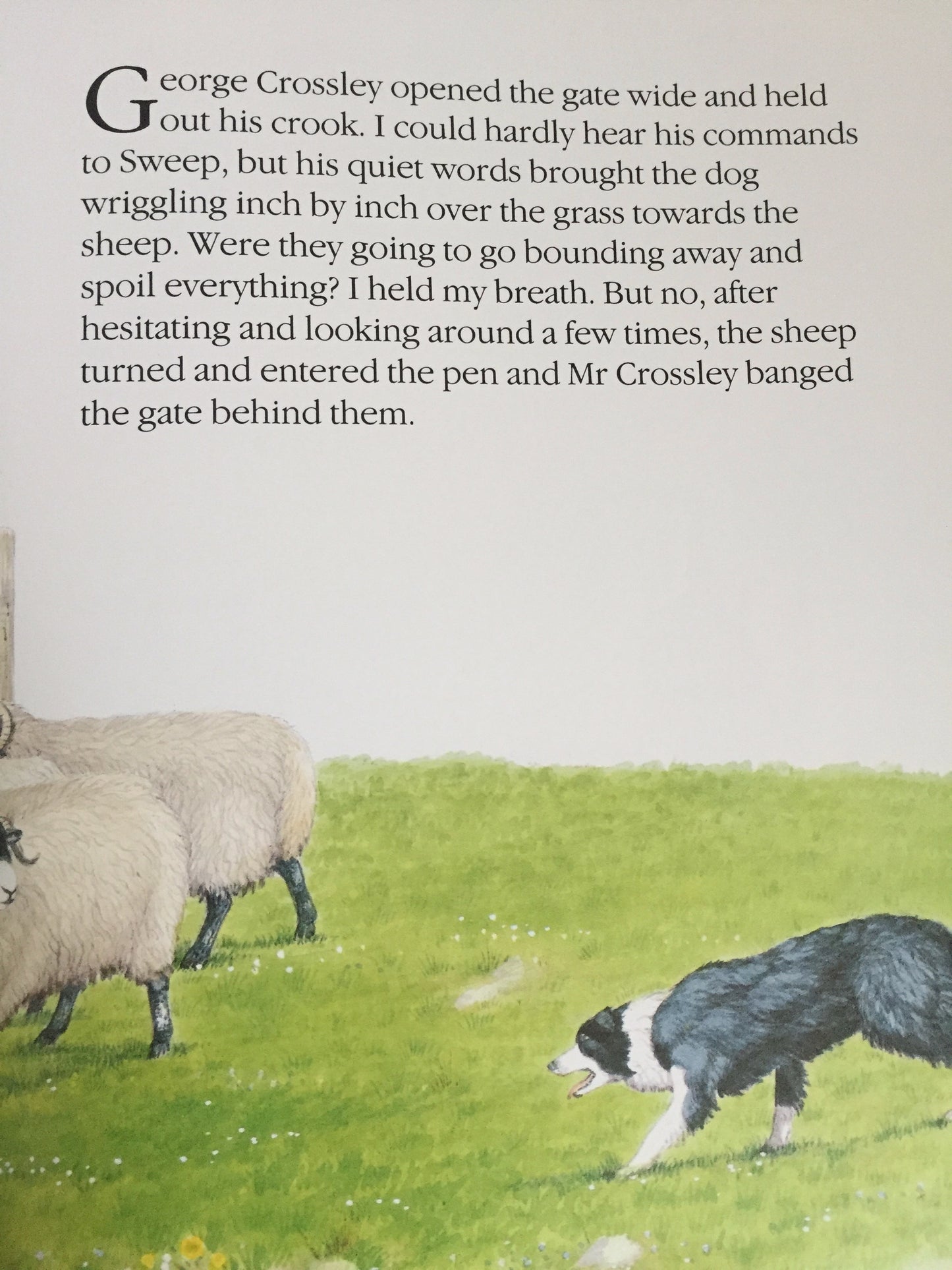 Children's Chapter Picture Book - JAMES HERRIOT'S TREASURY for CHILDREN