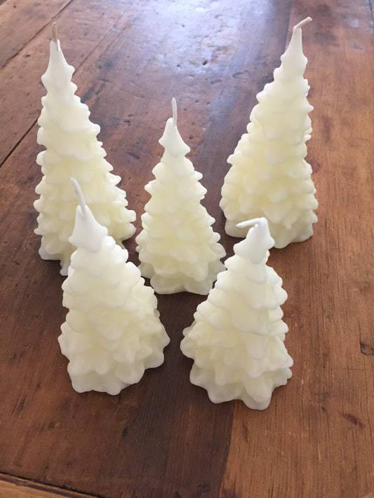 Beeswax Candles - IVORY TREES