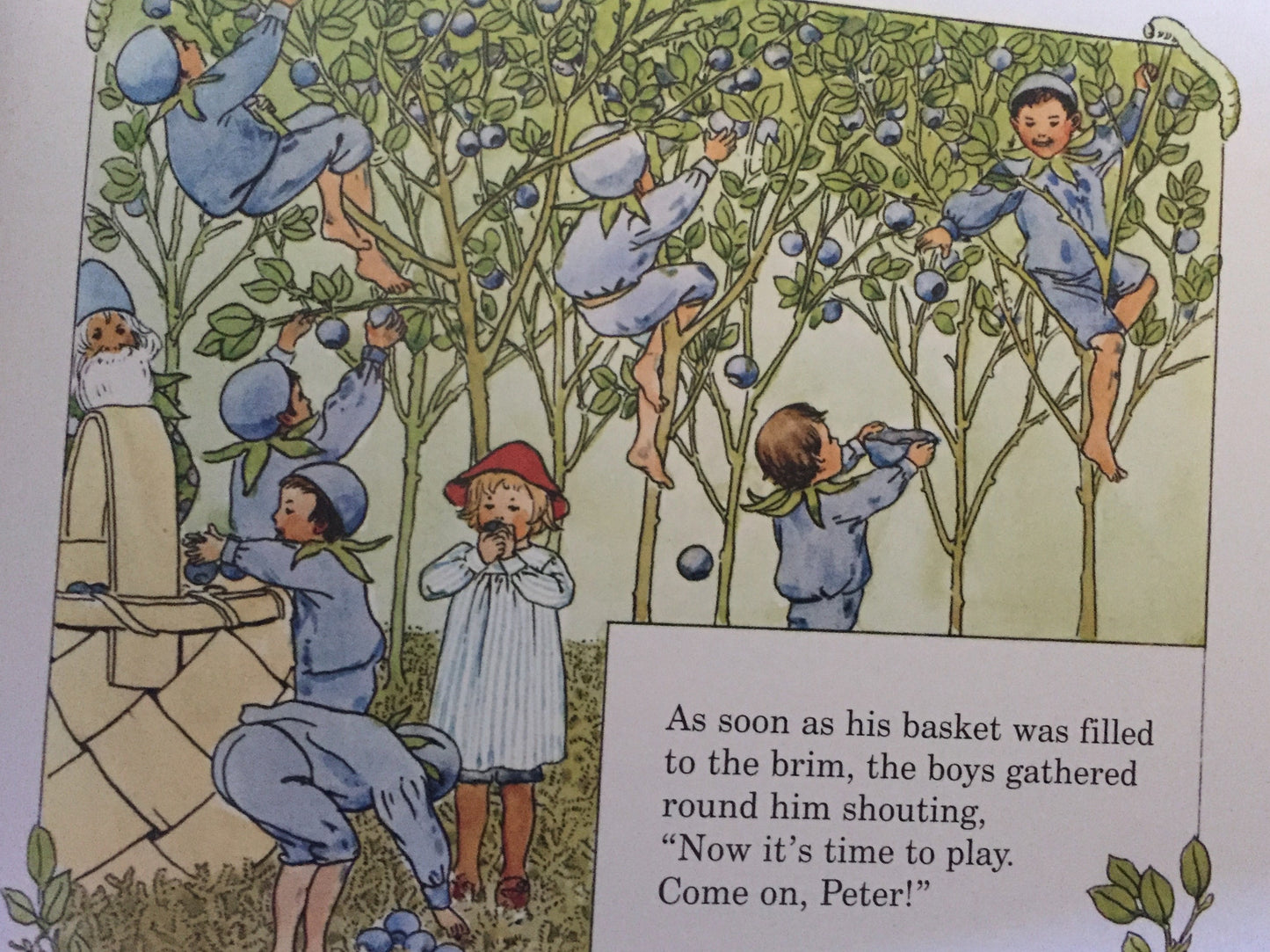 Children's Picture Book - PETER IN BLUEBERRY LAND, mini-size