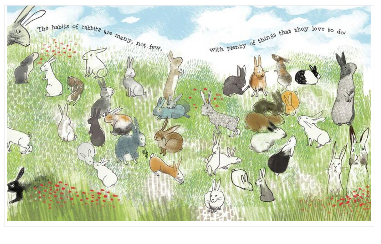 Livre cartonné, Bébé - LES MERVEILLEUSES HABITUDES DES LAPIN