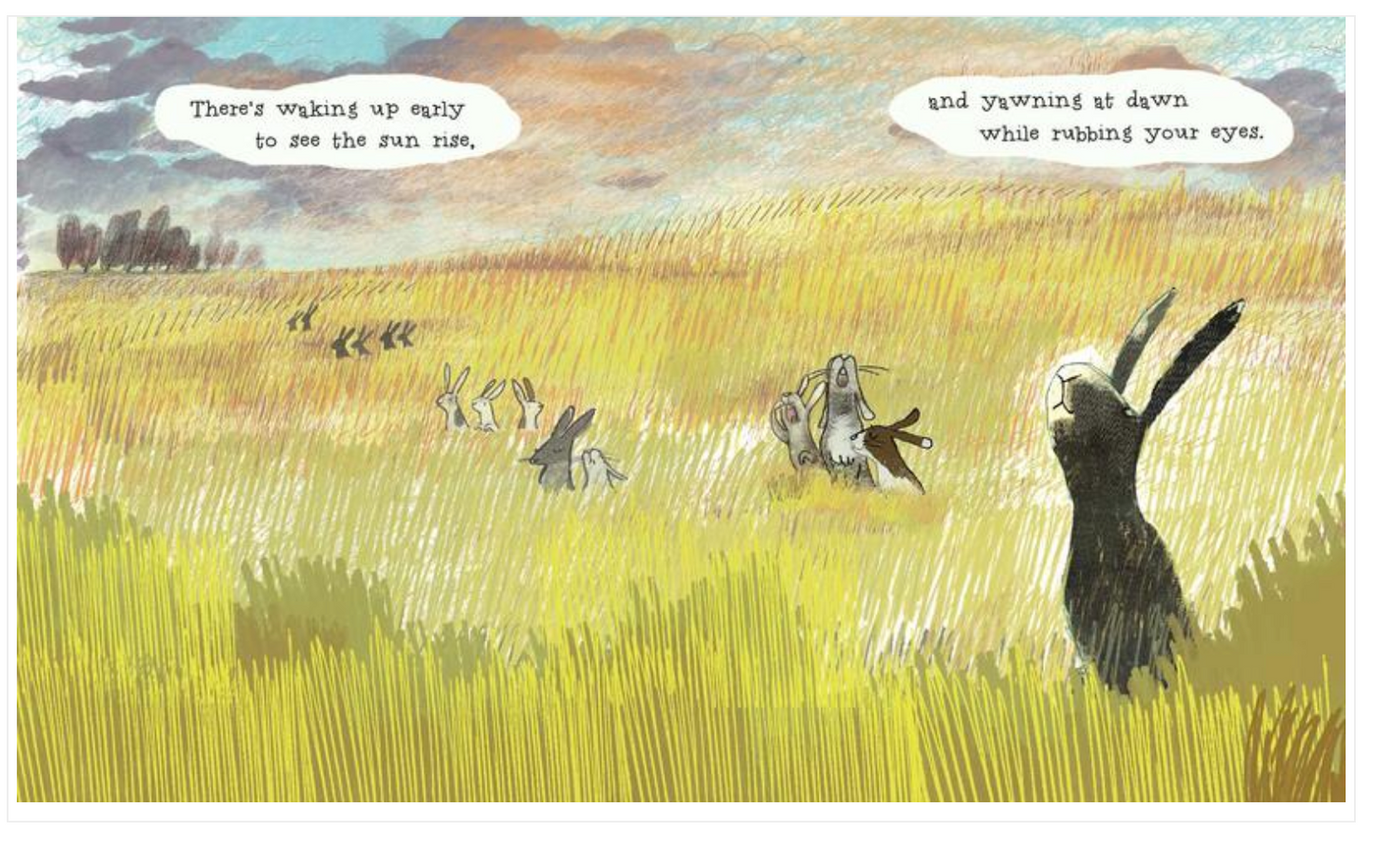 Livre cartonné, Bébé - LES MERVEILLEUSES HABITUDES DES LAPIN