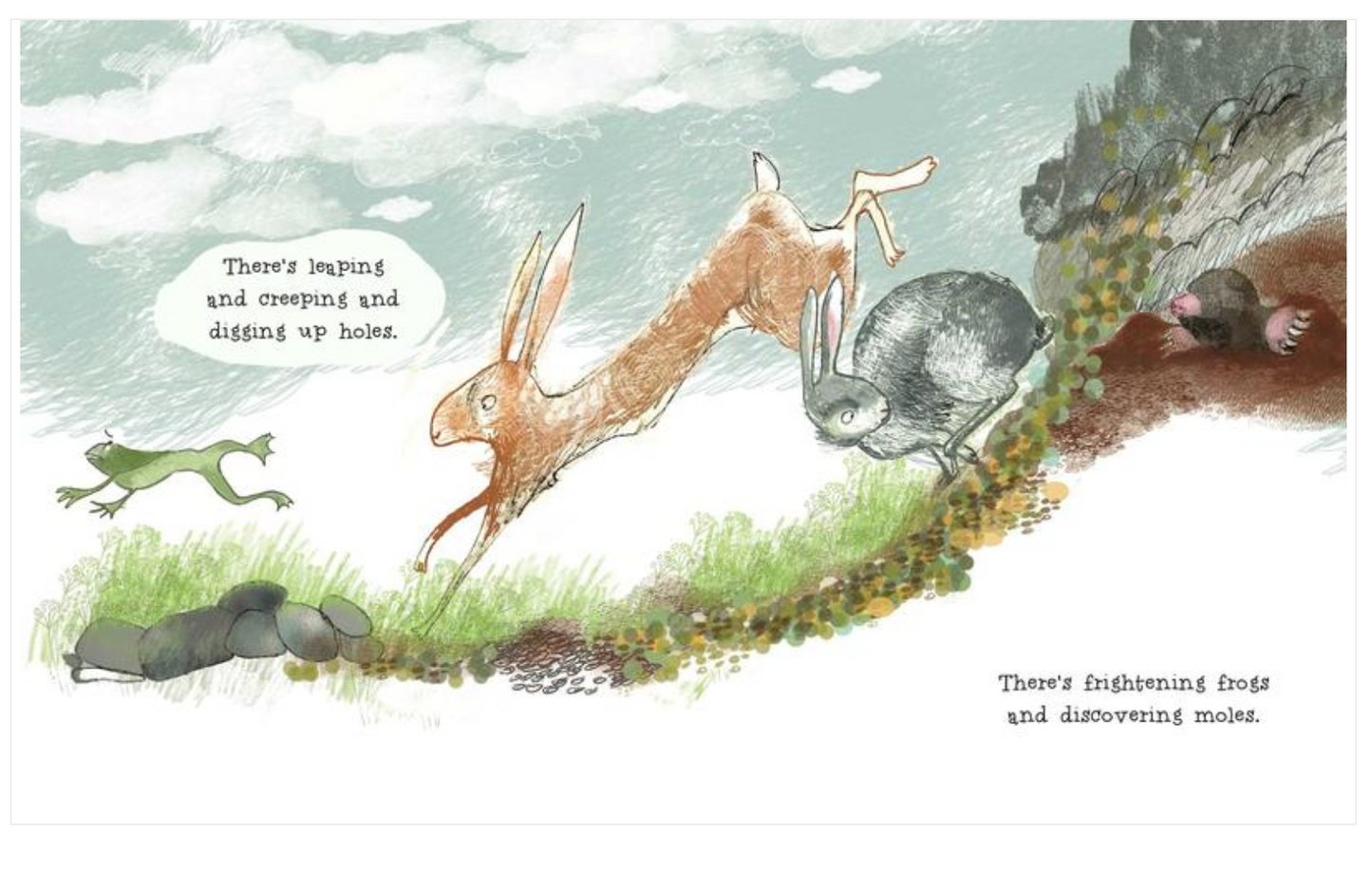 Livre cartonné, Bébé - LES MERVEILLEUSES HABITUDES DES LAPIN