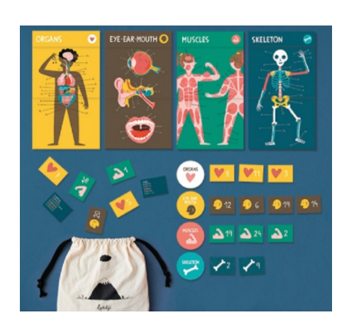 Educational Game Set - INSIDE ME