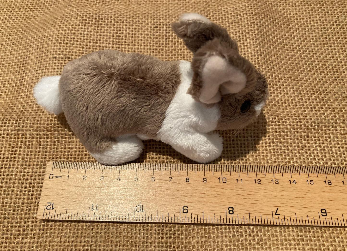 Soft Mini Puppet Set - PETS!