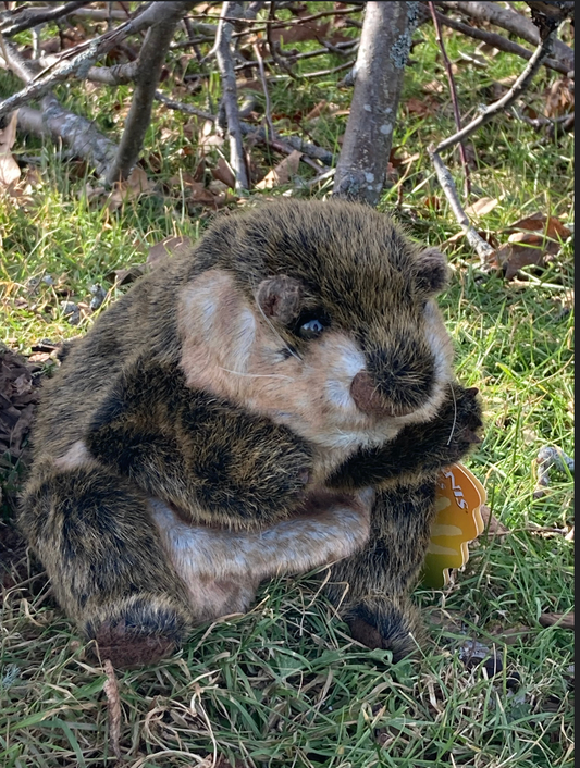 Soft Puppet Toy - GROUNDHOG Hand Puppet