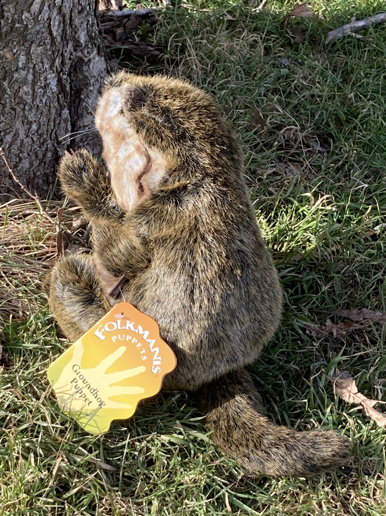 Soft Puppet Toy - GROUNDHOG Hand Puppet