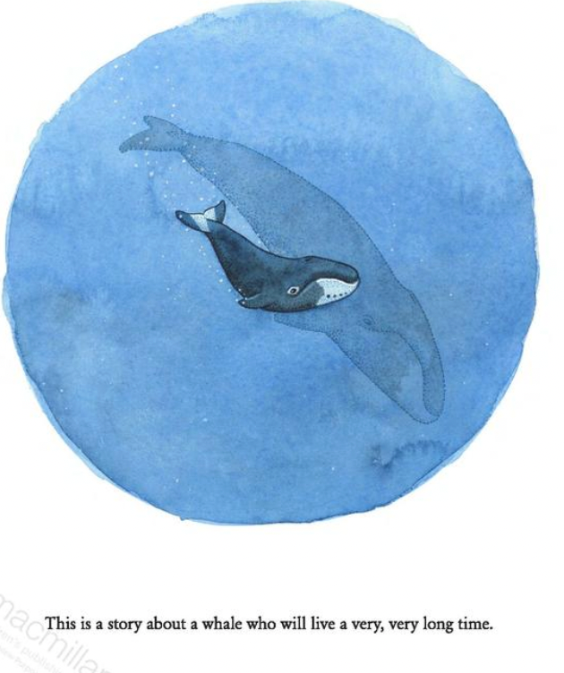 Educational Children's Picture Book - THE WHALE WHO SWAM THROUGH TIME