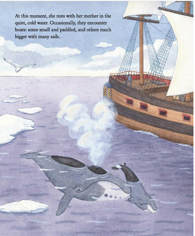 Educational Children's Picture Book - THE WHALE WHO SWAM THROUGH TIME