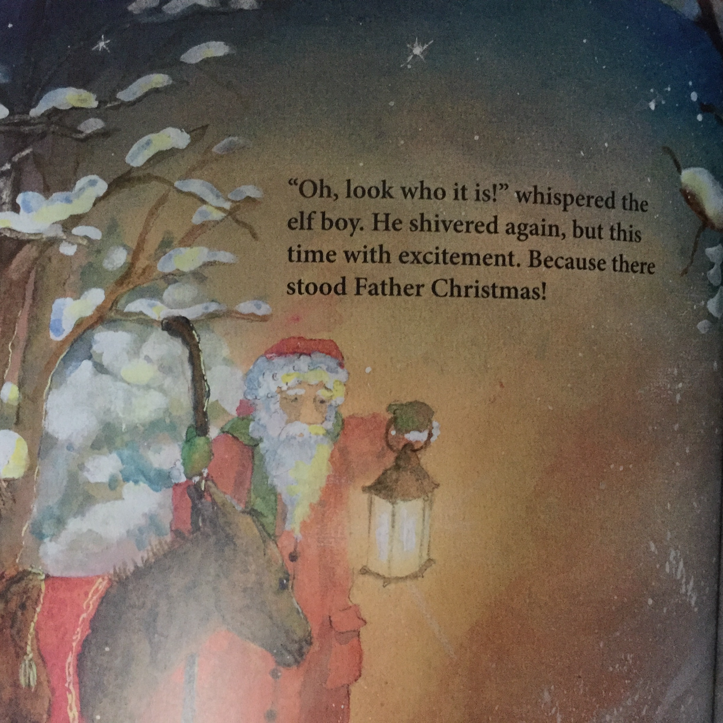 Children's Picture Book - LITTLE FAIRY'S CHRISTMAS