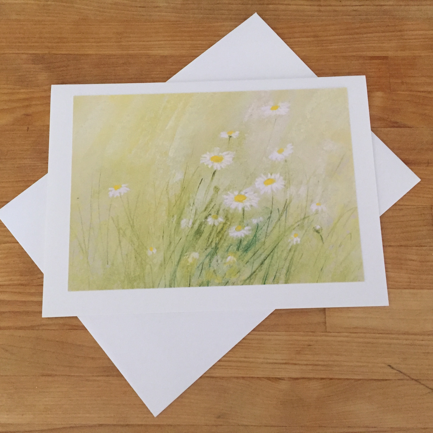 Cartes de voeux/ Été - MARGUERITES