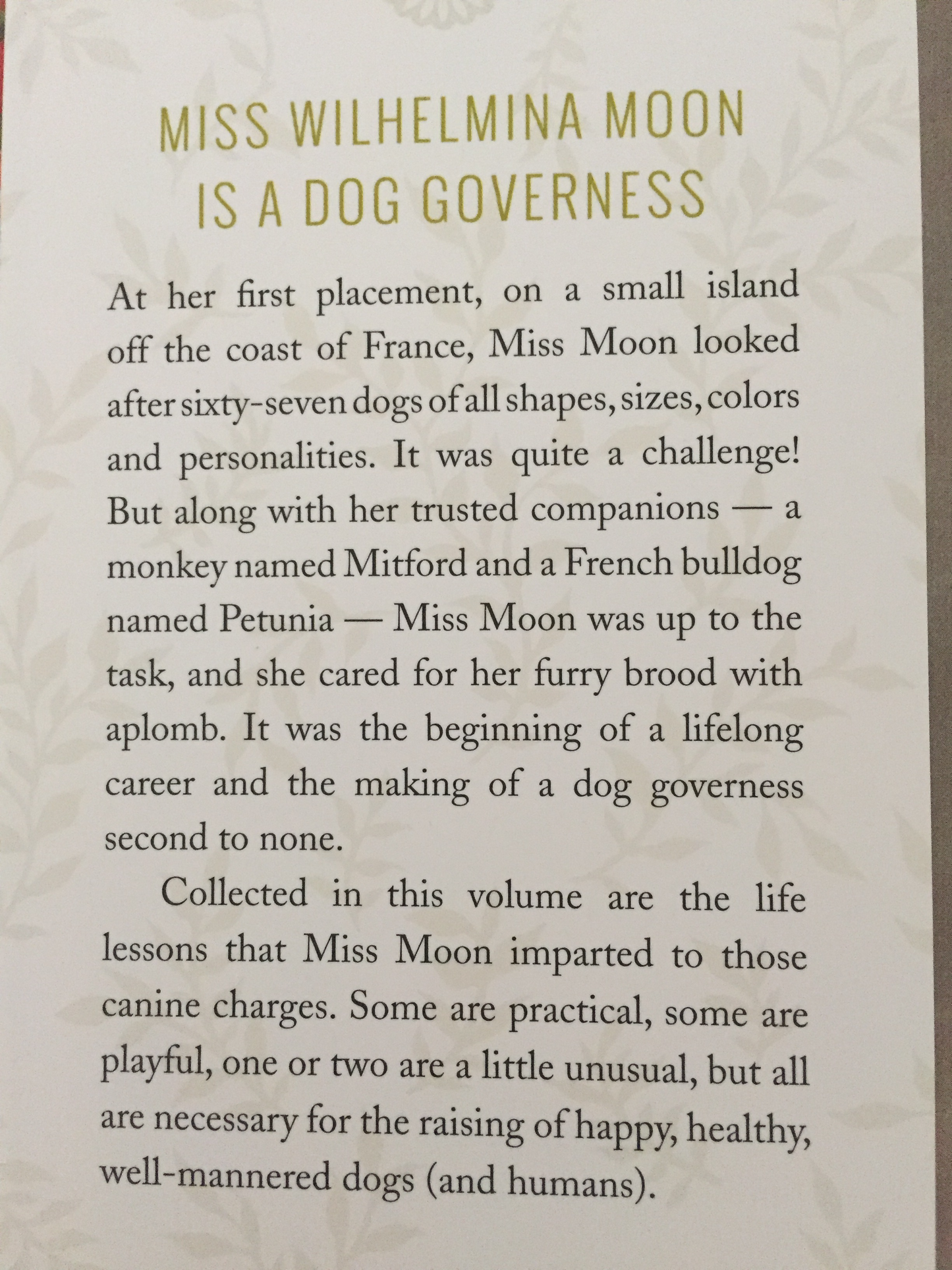 Children's Picture Book - MISS MOON