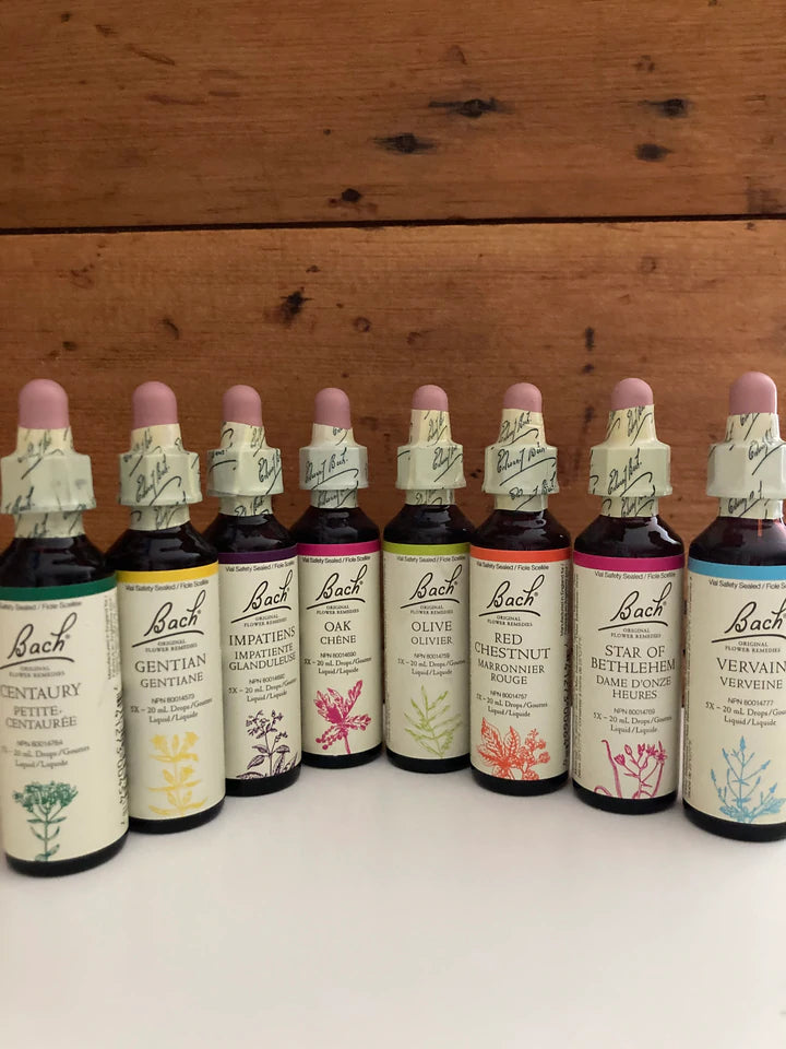 Bach Holistic Flower Remedies - SWEET CHESTNUT