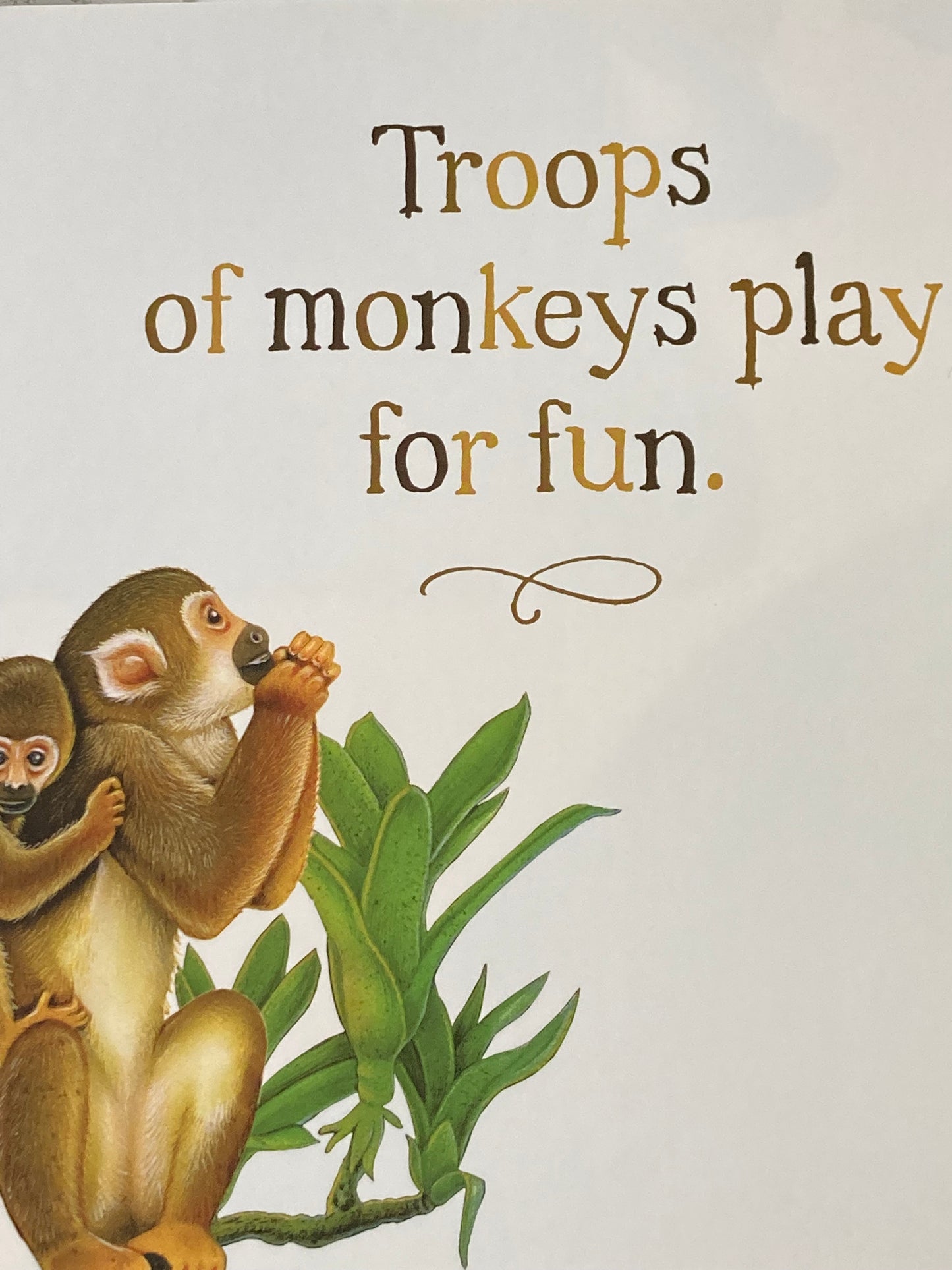 Board Book, Baby - CROWDS OF CREATURES