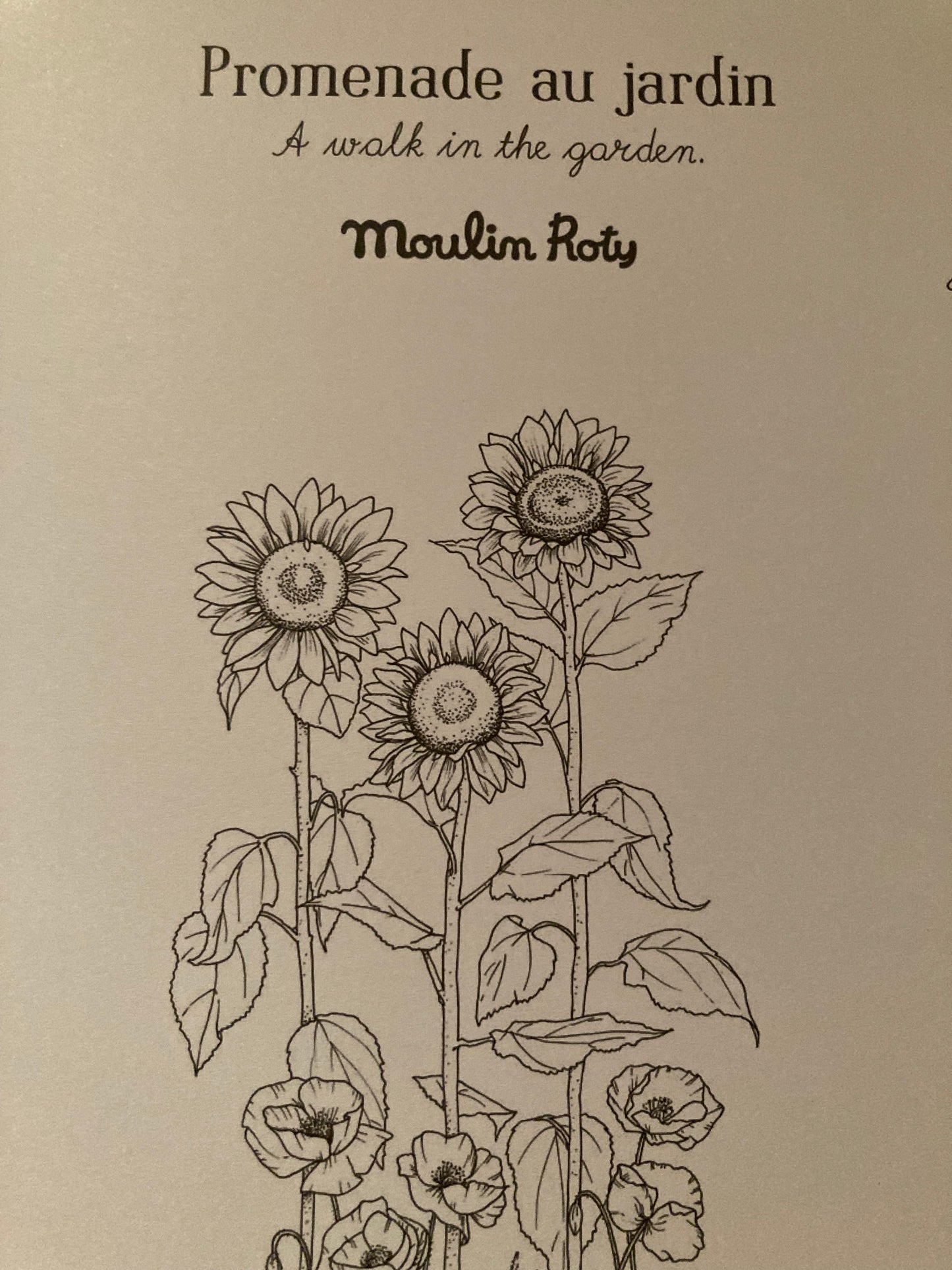 Art Activity Set - "TO THE GARDEN" Colouring Book & More!