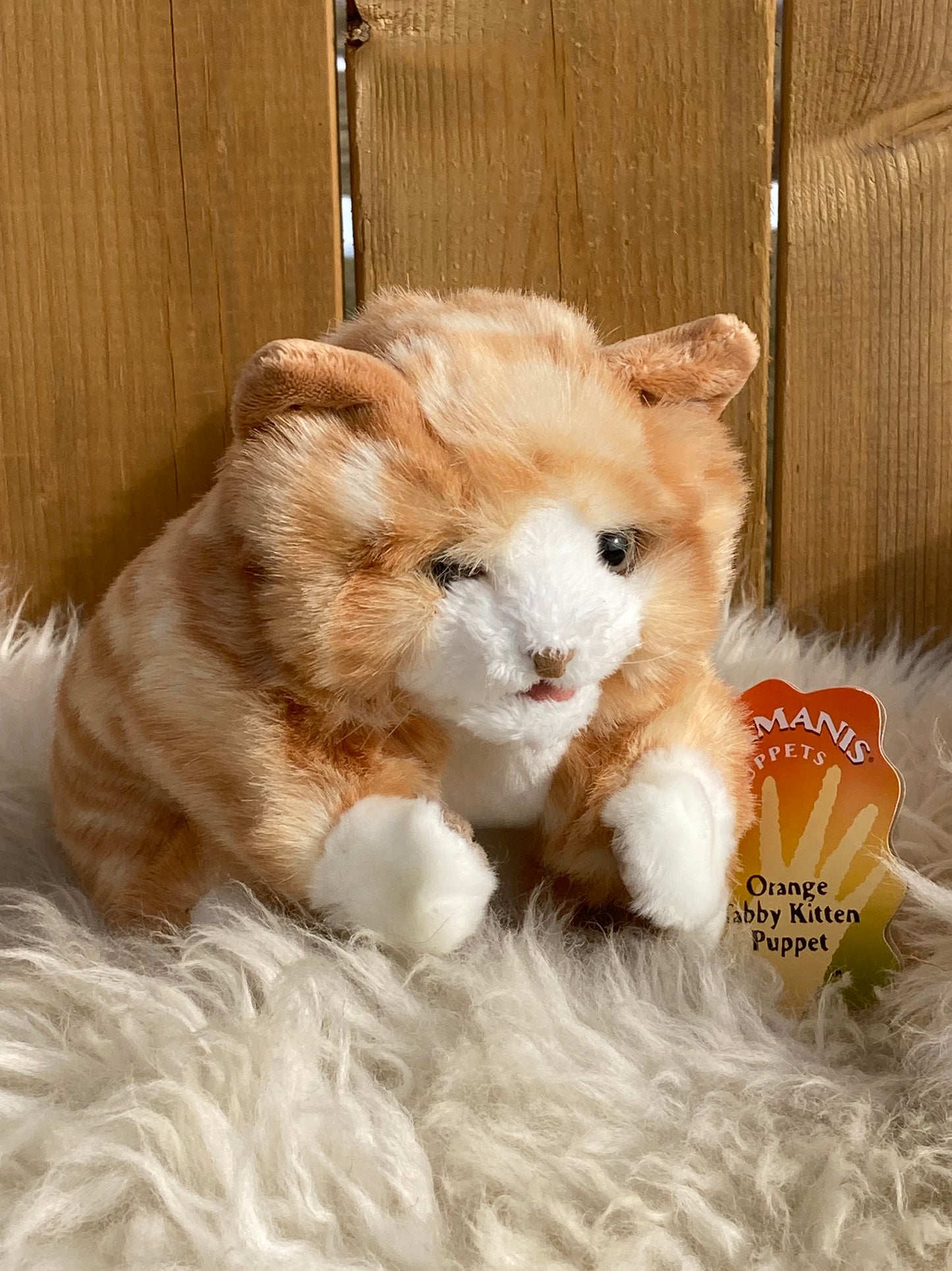 Marionnette douce pour animaux de compagnie - Marionnette à main CHATON TABBY ORANGE