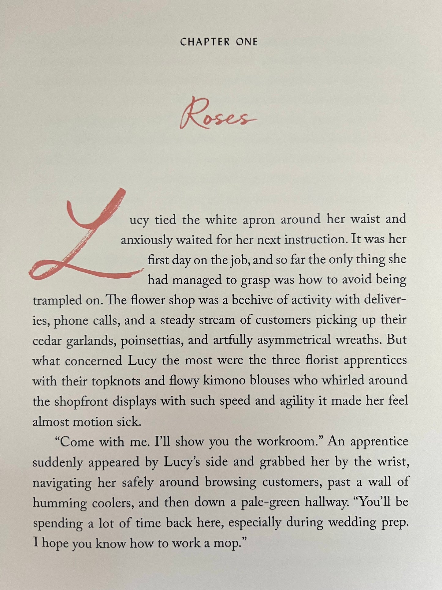 Chapter Books for Older Readers - LUCY CRISP AND THE VANISHING HOUSE