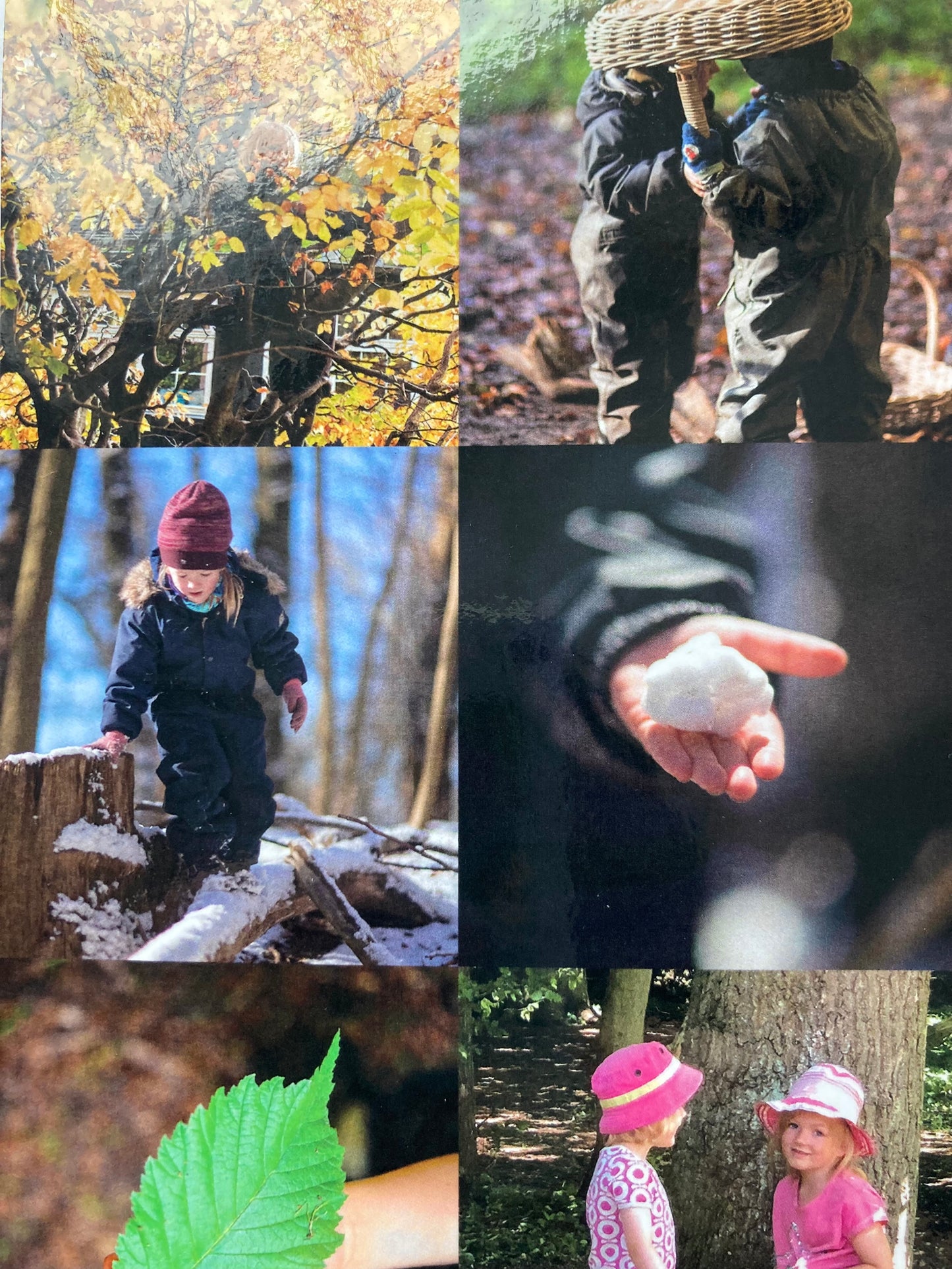 Livre de ressources parentales - ENFANT DE LA NATURE, Avantages de la nature pendant l'enfance