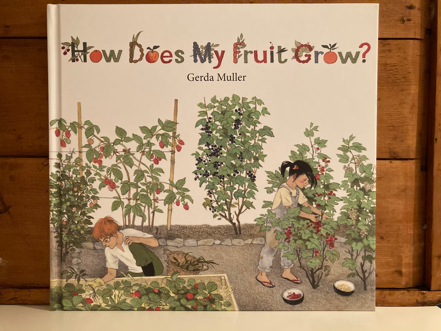 Livre d'images éducatif pour enfants - COMMENT POUSSE MON JARDIN ? ou, COMMENT POUSSE MES FRUITS ?