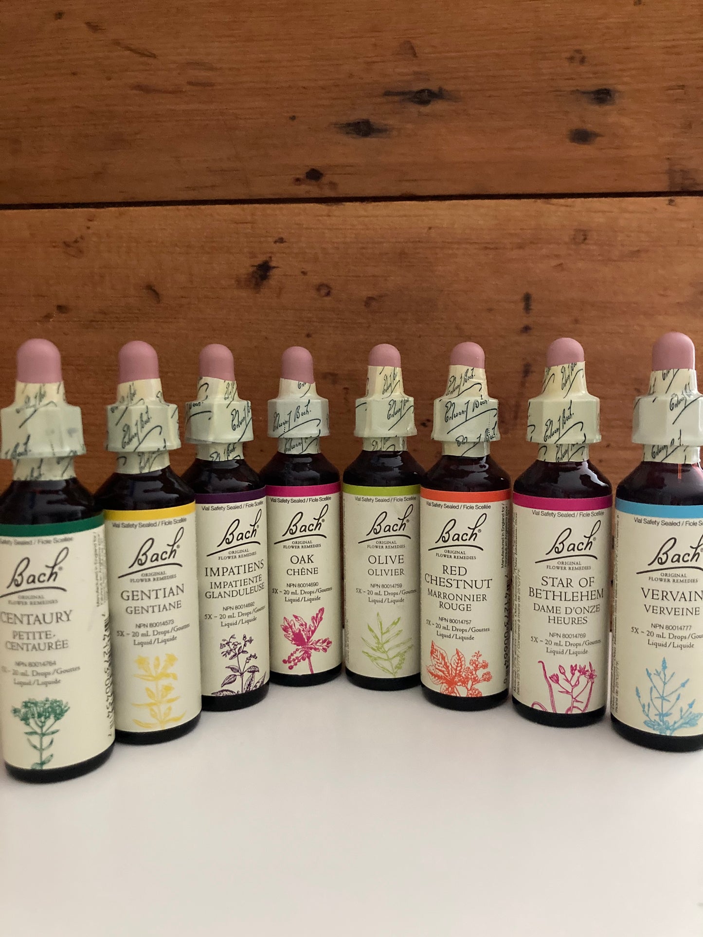 Bach Holistic Flower Remedies - OAK