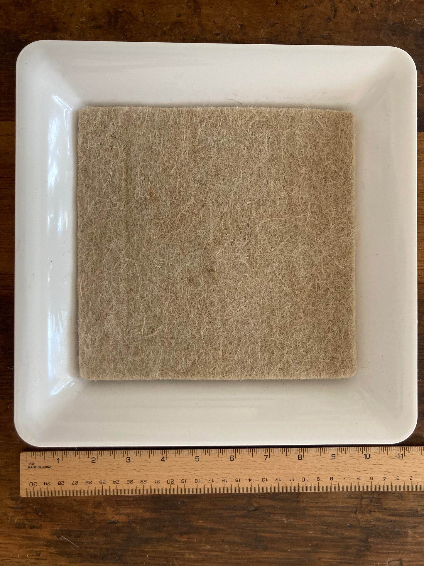 KIT DE DÉMARRAGE DE SEMENCES Ensemble avec 4 PADS SUPPLÉMENTAIRES (Tout ce dont vous avez besoin)