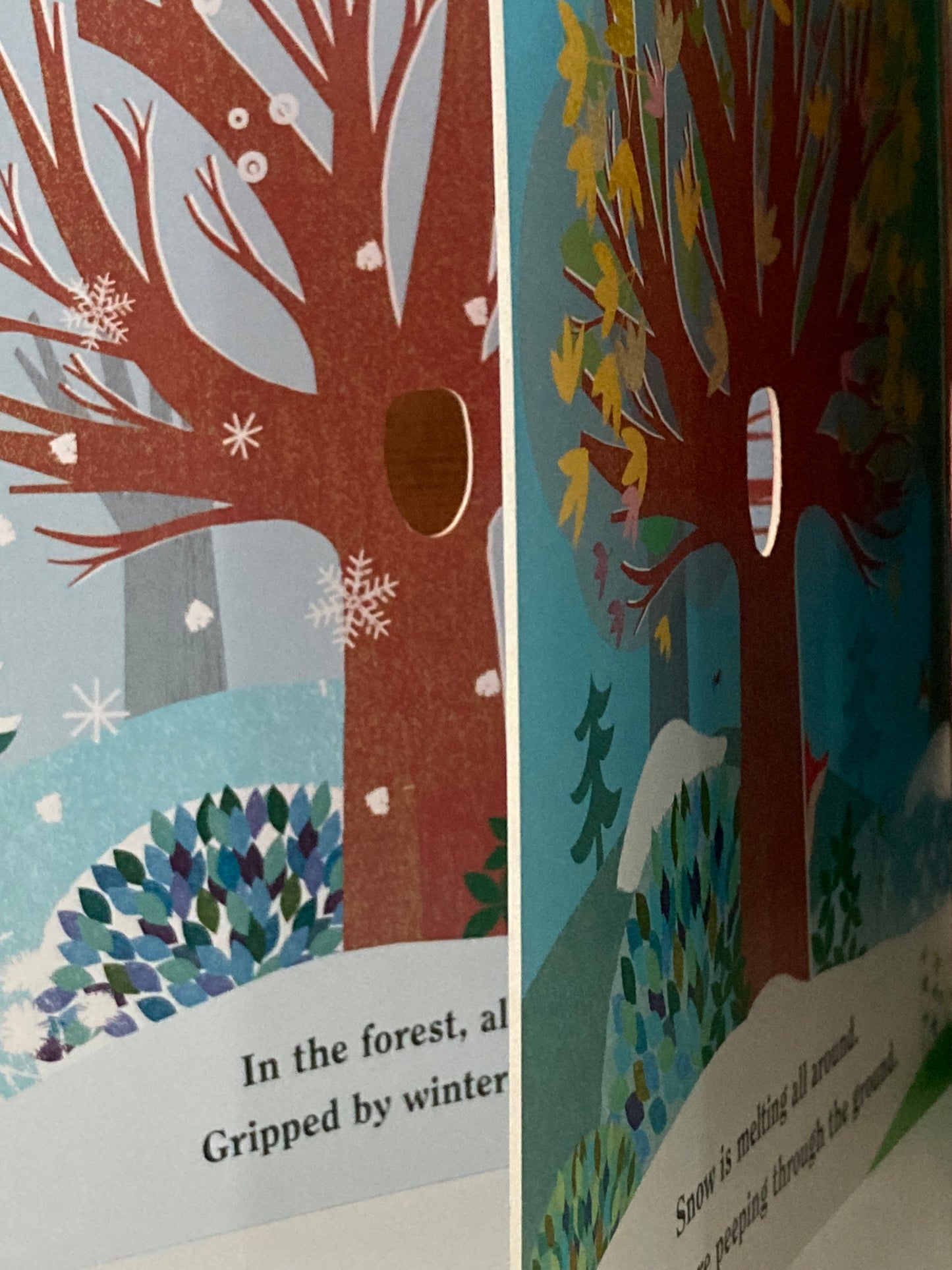 Board Book, Baby - TREE, with cut-outs