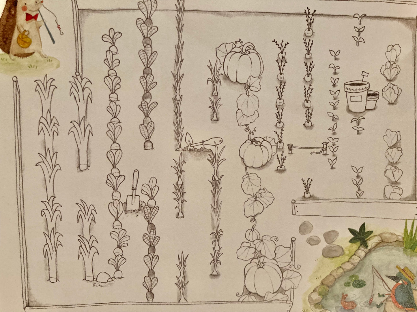 Art Activity Set - GARDENING BOOK, Colouring & more!