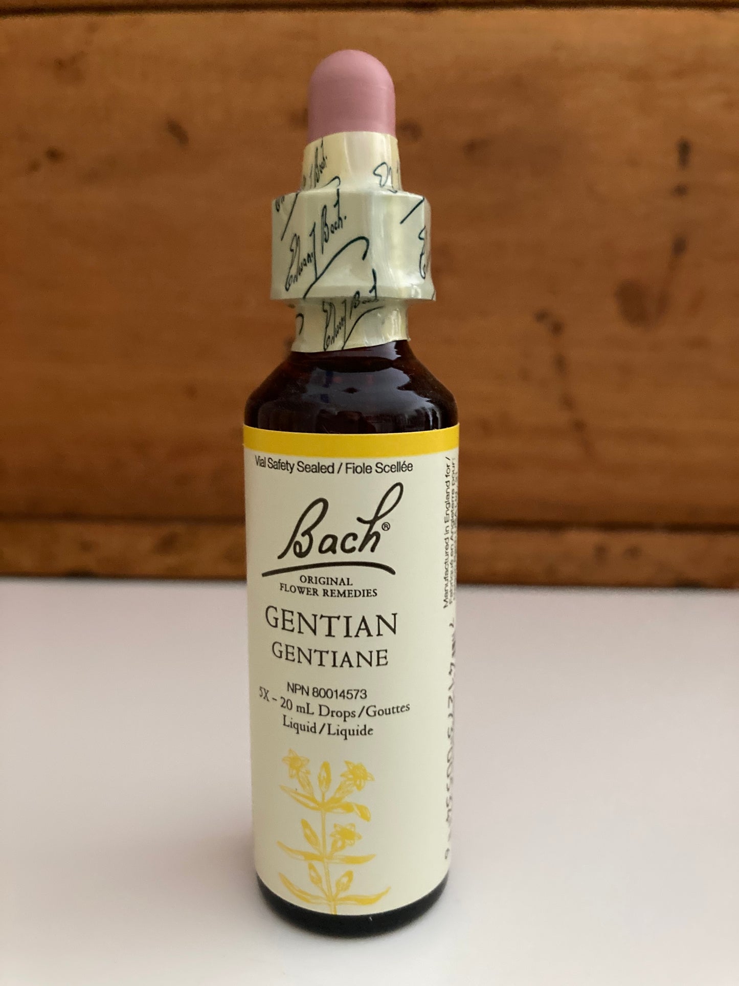 Bach Holistic Flower Remedies - GENTIAN